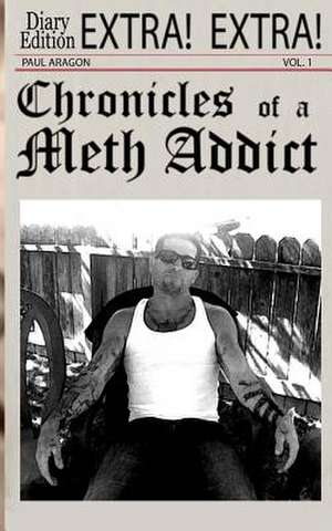 Chronicles of a Meth Addict de MR Paul C. Aragon