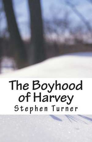 The Boyhood of Harvey de Stephen Turner