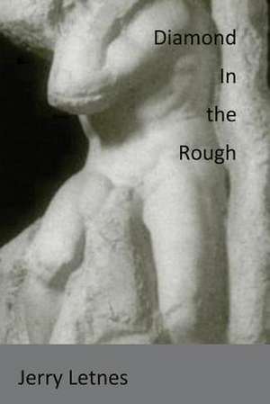 Diamond in the Rough de Jerry Letnes