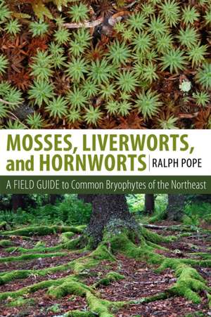 Mosses, Liverworts, and Hornworts – A Field Guide to the Common Bryophytes of the Northeast de Ralph H. Pope