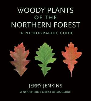 Woody Plants of the Northern Forest:: Woody Plants of the Northern Forest: de Jerry Jenkins