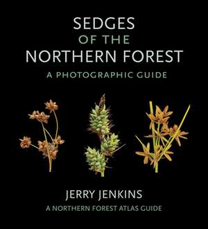 Sedges of the Northern Forest – A Photographic Guide de Jerry Jenkins