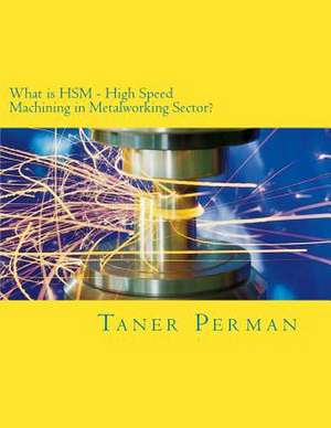 What Is Hsm - High Speed Machining in Metalworking Sector? de Taner Perman