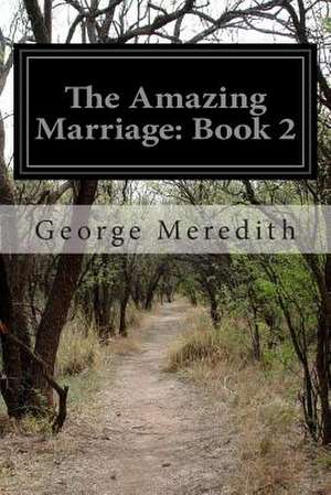 The Amazing Marriage de George Meredith