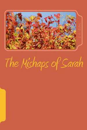 The Mishaps of Sarah de J. L. Estes