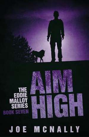 Aim High de MR Joe McNally