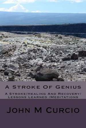 A Stroke of Genius de Rev John M. Curcio