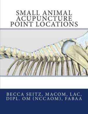 Small Animal Acupuncture Point Locations: Segunda Parte de Becca Seitz LAc