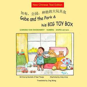 Gabe and the Park & His Big Toy Box (New Simplified Only) de Rochelle O'Neal Thorpe