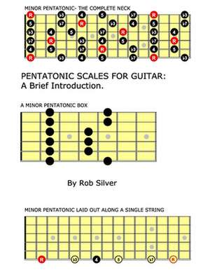 Pentatonic Scales for Guitar de Rob Silver