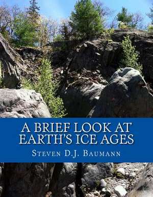 A Brief Look at Earth's Ice Ages de Steven D. J. Baumann Pg