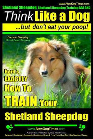 Shetland Sheepdog, Shetland Sheepdog Training AAA Akc de Pearce, MR Paul Allen