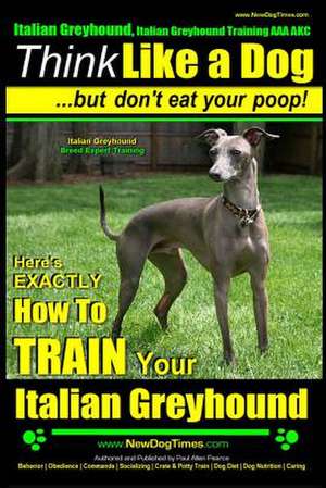 Italian Greyhound, Italian Greyhound Training AAA Akc de Pearce, MR Paul Allen