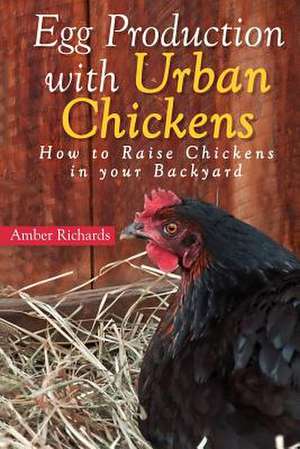 Egg Production with Urban Chickens de Amber Richards