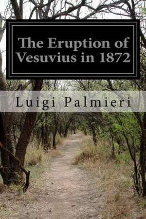 The Eruption of Vesuvius in 1872 de Luigi Palmieri