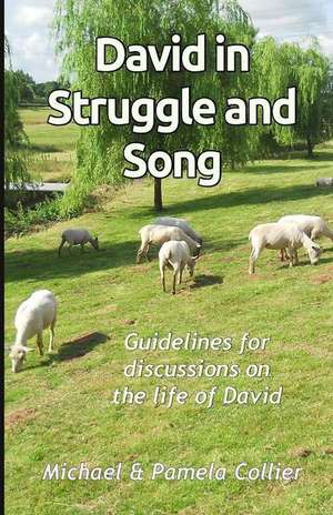 David in Struggle and Song de Michael Collier