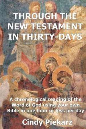 Through the New Testament in Thirty Days de Cindy Piekarz