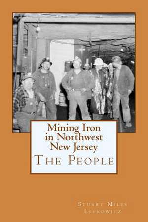 Mining Iron in Northwest New Jersey de Stuart Miles Lefkowitz