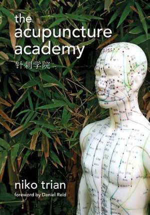 Acupuncture Academy de Niko Trian