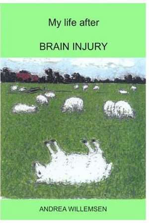 My Life After Brain Injury de Andrea Willemsen