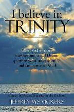 I Believe in Trinity: A Study of Vertical Equality in the Godhead de Jeffrey M S Vickers