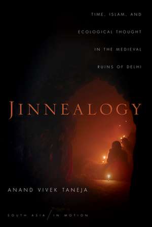 Jinnealogy – Time, Islam, and Ecological Thought in the Medieval Ruins of Delhi de Anand Vivek Taneja