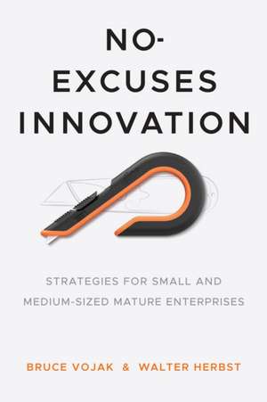 No–Excuses Innovation – Strategies for Small– and Medium–Sized Mature Enterprises de Bruce Vojak