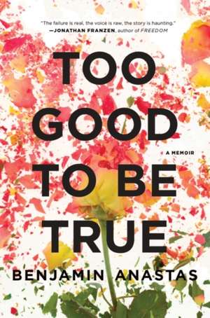 Too Good to Be True de Benjamin Anastas