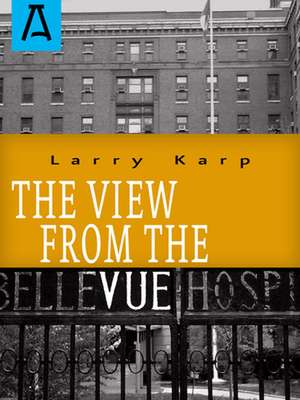 The View from the Vue de Larry Karp