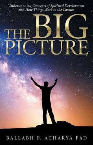 The Big Picture de Ballabh P. Acharya