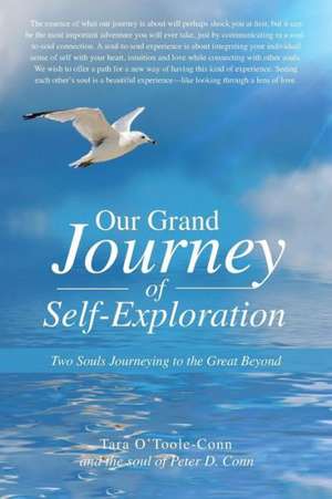 Our Grand Journey of Self-Exploration de Tara O'Toole-Conn