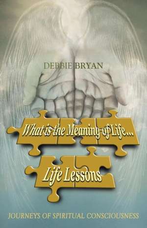 What Is the Meaning of Life... Life Lessons: The Journey He Endured de Debbie Bryan