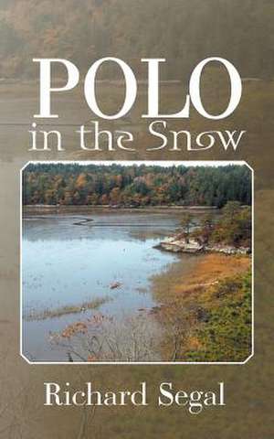 Polo in the Snow de Richard Segal