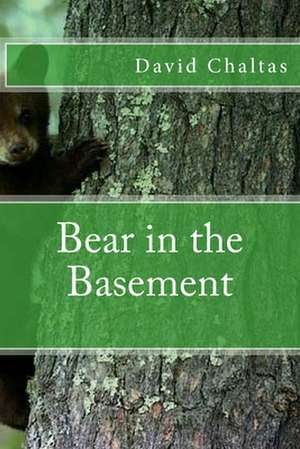 Bear in the Basement de David Chaltas