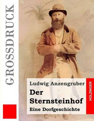 Der Sternsteinhof (Grossdruck) de Ludwig Anzengruber