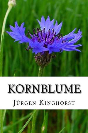Kornblume de MR Jurgen Kinghorst