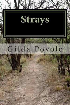 Strays de Gilda Povolo