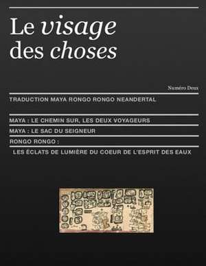 Le Visage Des Choses de Maxime Roche