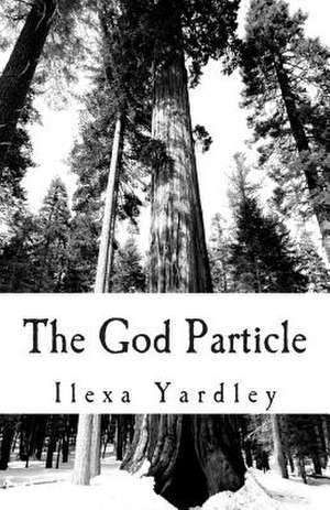 The God Particle de Ilexa Yardley