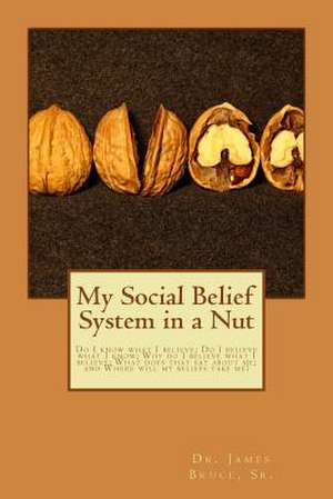 My Social Belief System in a Nut de Dr James E. Bruce Sr