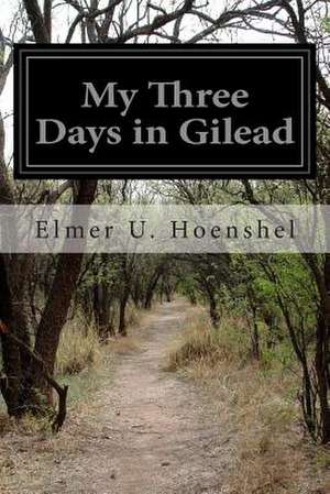 My Three Days in Gilead de Elmer U. Hoenshel