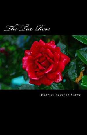 The Tea Rose de Harriet Beecher Stowe