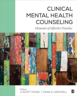 Clinical Mental Health Counseling: Elements of Effective Practice de J. Scott Young