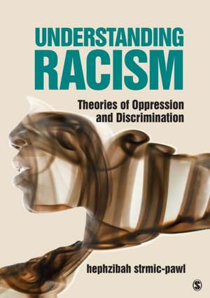 Understanding Racism: Theories of Oppression and Discrimination de Hephzibah Strmic-Pawl