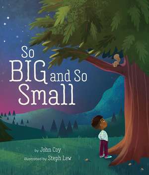 So Big and So Small de John Coy