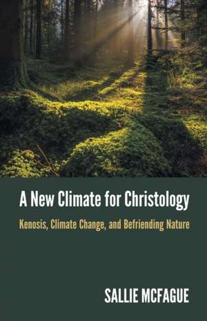 A New Climate for Christology de Sallie McFague