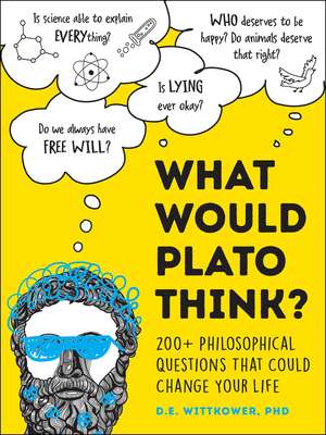 What Would Plato Think?: 200+ Philosophical Questions That Could Change Your Life de D.E. Wittkower