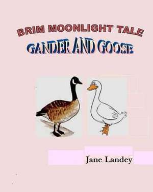 Gander and Goose de Jane Olamide Olubunm Landey