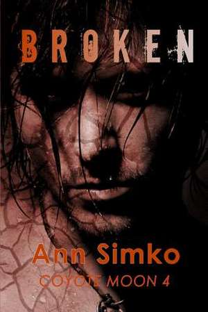 Broken de Ann Simko