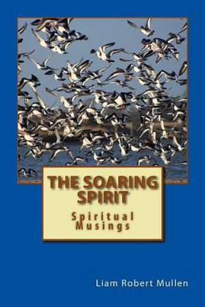 The Soaring Spirit de MR Liam R. Mullen